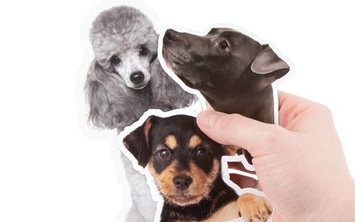 Pet Stickers For Animal Lovers