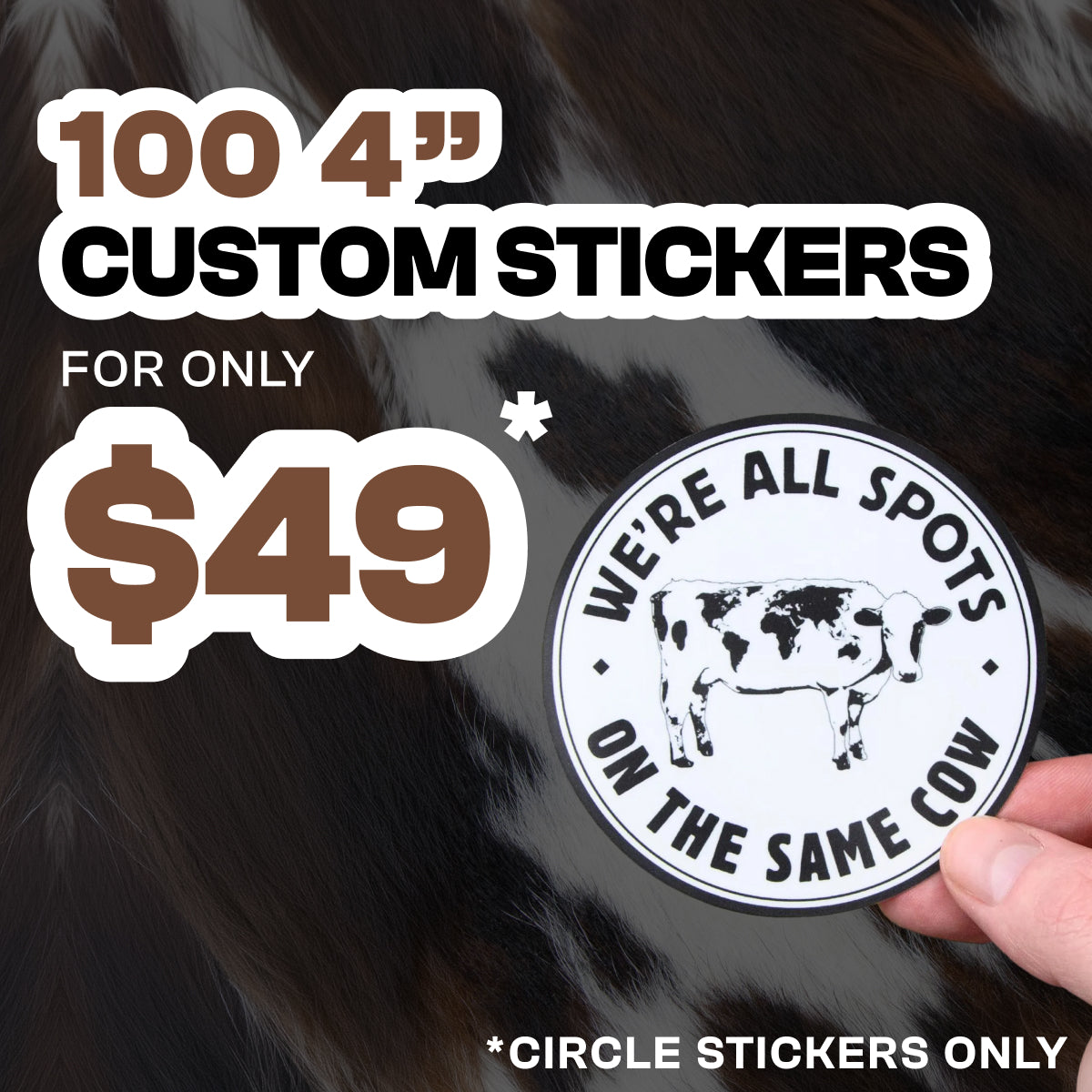 Offer for 100 custom 4-inch circle stickers for $49, circle stickers only. A hand holds a cow sticker reading 'We’re all spots on the same cow' against a cowhide background