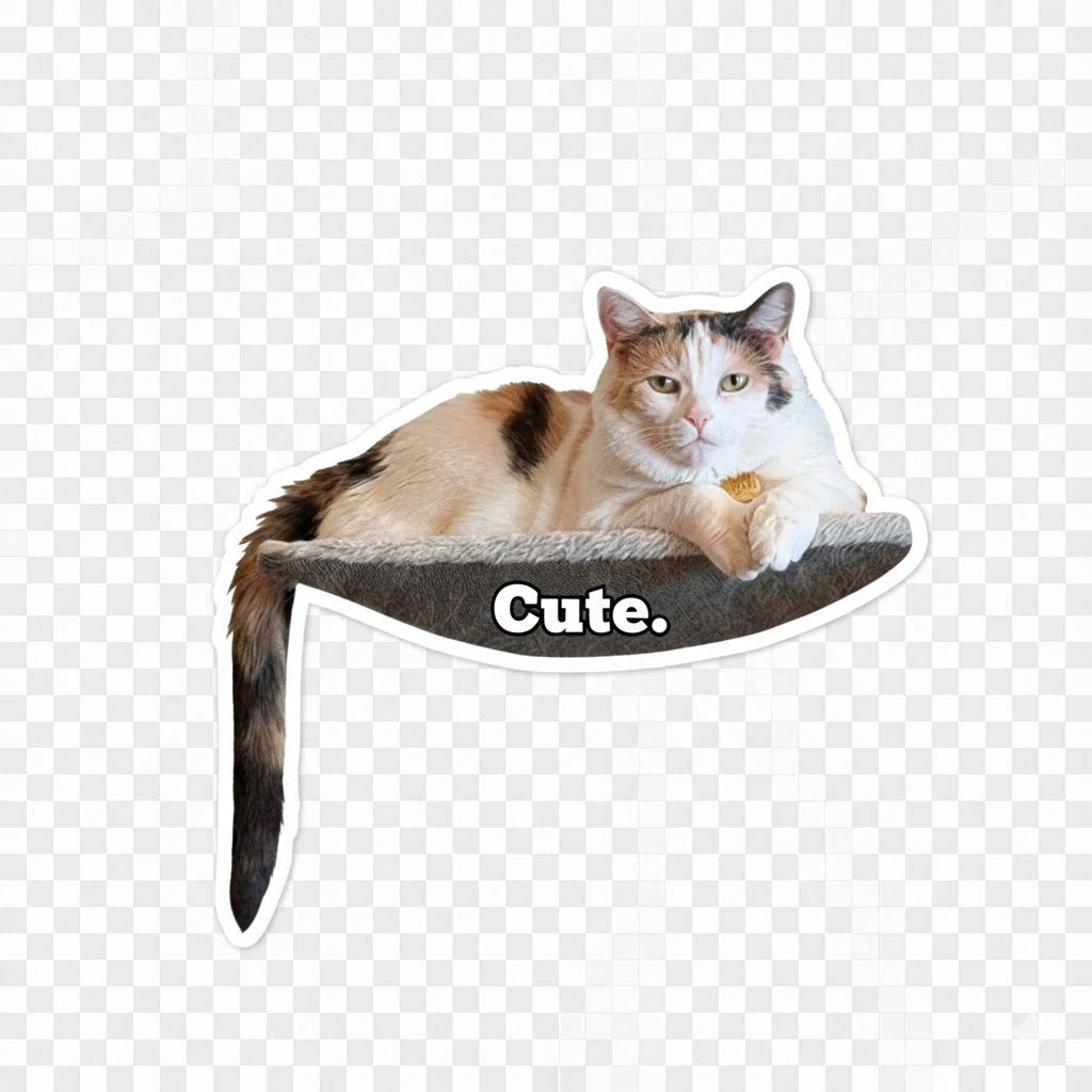 Artist & Illustrator Stickers