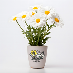 A white ceramic flower pot holding blooming white daisies with yellow centers and green leaves. The pot features a playful illustrated sticker with the word Bloom stylized as flowers growing from the letters, with a small bee illustration above the design, set against a clean white background.