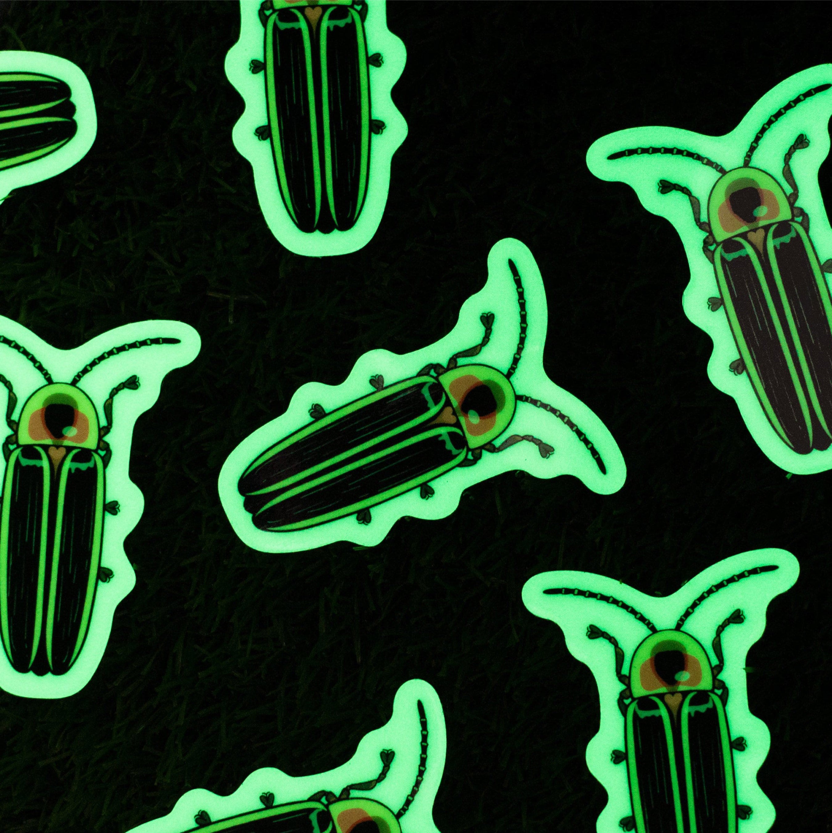 Collection of custom glow-in-the-dark stickers featuring detailed firefly artwork displayed against a dark background. The glowing material creates a vivid green halo around each sticker while preserving the printed illustration and fine design details. This image demonstrates the unique combination of full-color printing and photoluminescent performance, making glow-in-the-dark stickers a memorable option for artists, outdoor brands, nature-themed designs, and special event merchandise.