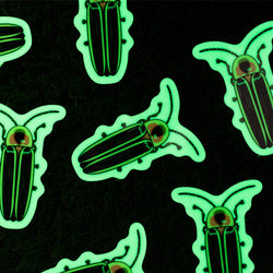 Collection of custom glow-in-the-dark stickers featuring detailed firefly artwork displayed against a dark background. The glowing material creates a vivid green halo around each sticker while preserving the printed illustration and fine design details. This image demonstrates the unique combination of full-color printing and photoluminescent performance, making glow-in-the-dark stickers a memorable option for artists, outdoor brands, nature-themed designs, and special event merchandise.