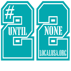 Prismatic Holographic