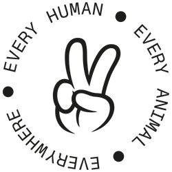 Iridescent Holographic