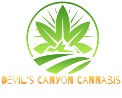 Prismatic Holographic