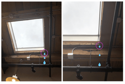 Iridescent Holographic