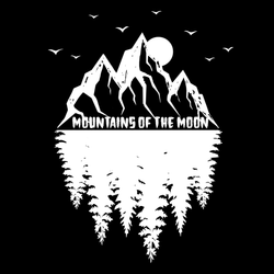 Prismatic Holographic