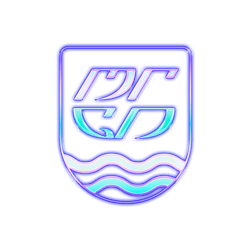 Iridescent Holographic