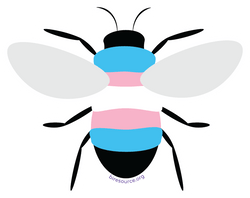 Iridescent Holographic