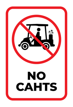 Iridescent Holographic