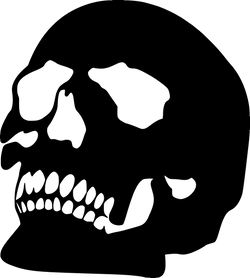 Iridescent Holographic