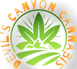 Iridescent Holographic