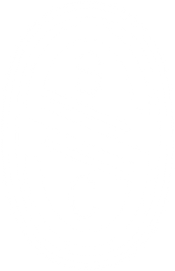 Iridescent Holographic