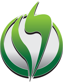 Iridescent Holographic