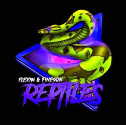 Prismatic Holographic