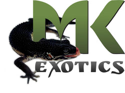 Iridescent Holographic