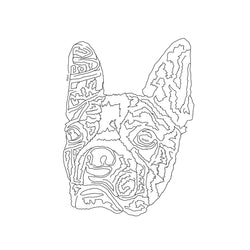 Prismatic Holographic