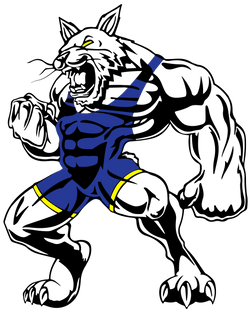 Iridescent Holographic