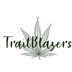 Iridescent Holographic