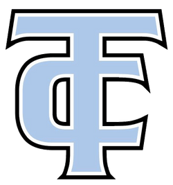 Iridescent Holographic