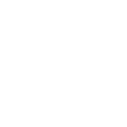 Iridescent Holographic