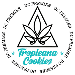 Iridescent Holographic