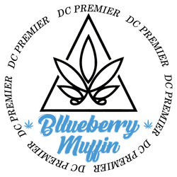 Iridescent Holographic