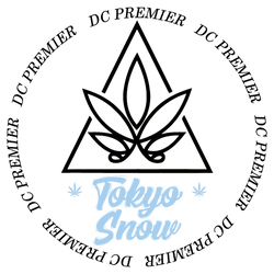 Iridescent Holographic