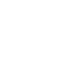 Iridescent Holographic