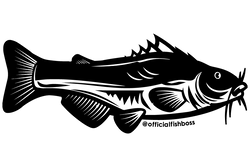 Iridescent Holographic