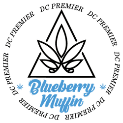 Iridescent Holographic