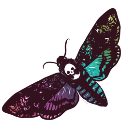 Iridescent Holographic