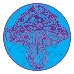 Iridescent Holographic