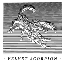 Iridescent Holographic