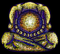 Iridescent Holographic