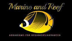 Iridescent Holographic