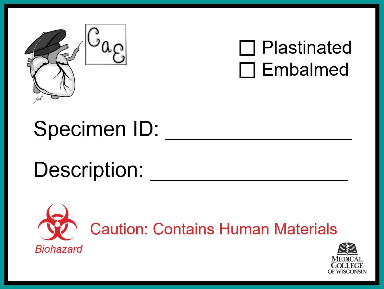 Sheet Labels