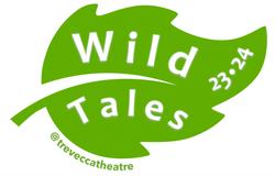 Iridescent Holographic