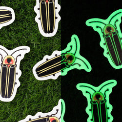 Side-by-side comparison of glow-in-the-dark firefly stickers. The left half of the image shows the stickers in daylight on green grass, with black and yellow firefly designs outlined in white. The right half shows the same stickers glowing at night against a black background, emitting a bright green glow around the firefly shapes