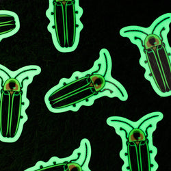 Custom Glow in the Dark Stickers that light up Your World!