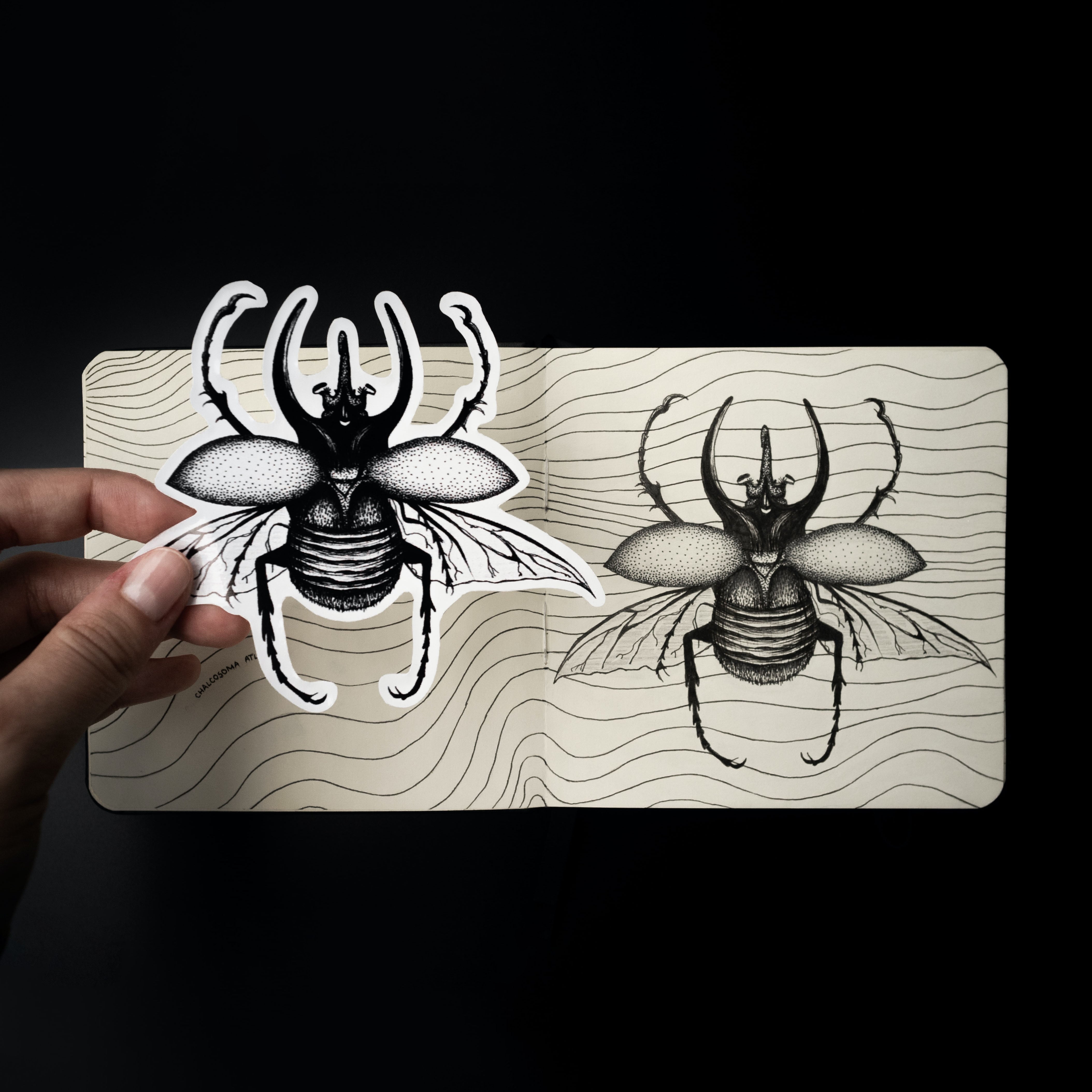 Custom shape insec fly illustration sticker  black and white digitized drawing shows hand holding sticker over notebook with original illustration