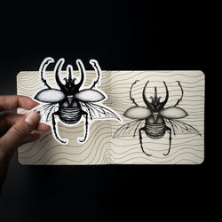 Custom shape insec fly illustration sticker  black and white digitized drawing shows hand holding sticker over notebook with original illustration