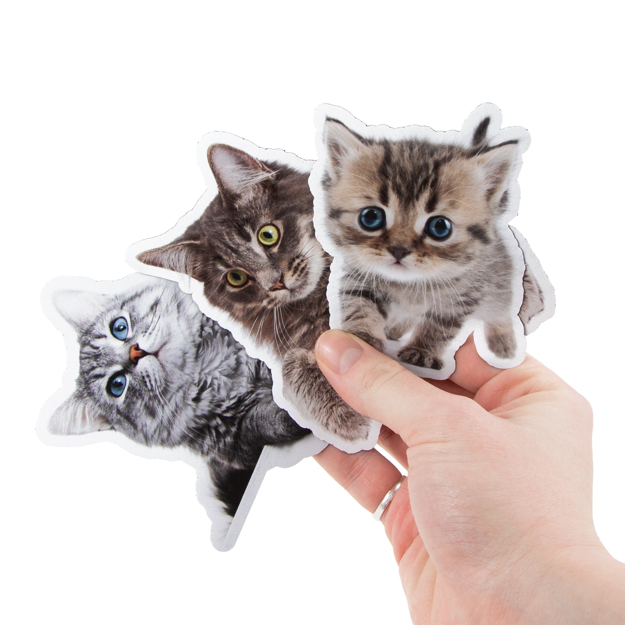 3 Pet Cat Feline Vinyl Stickers