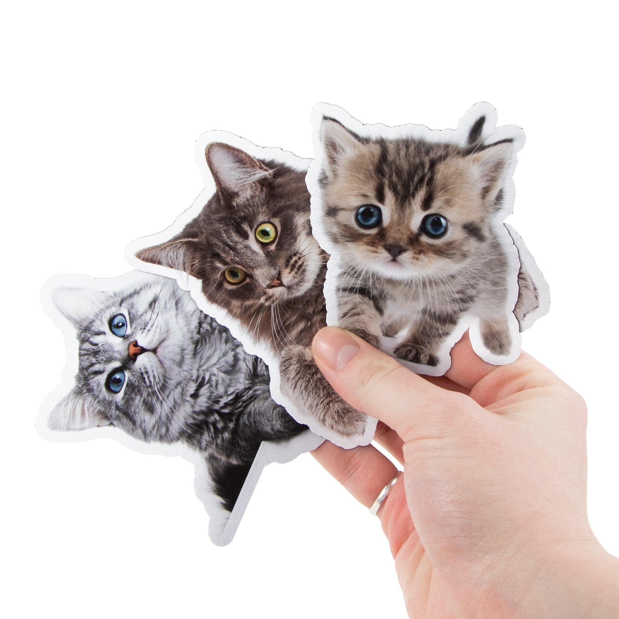 Custom Pet Cat Stickers - Sticky Brand