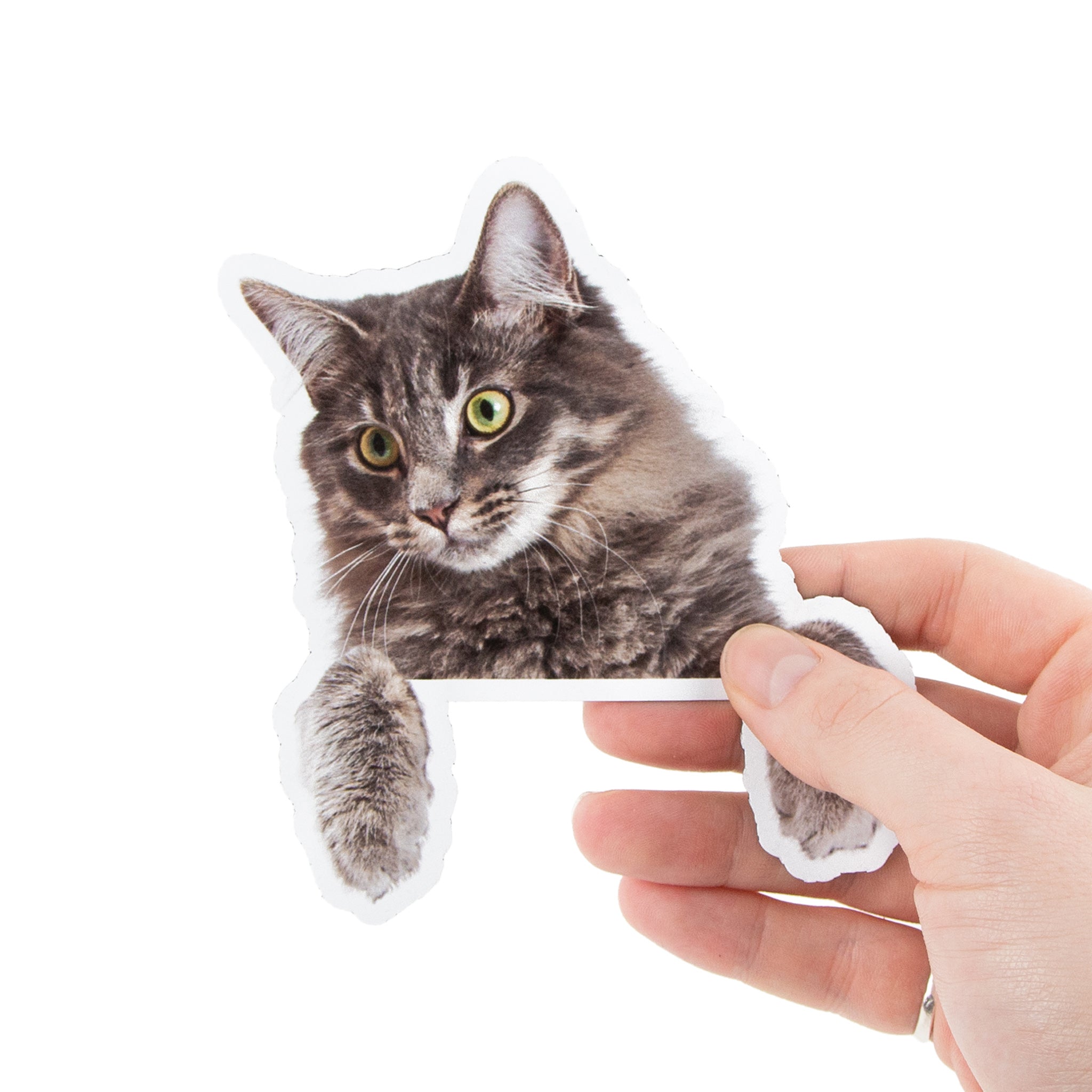 Custom Pet Cat Stickers - Sticky Brand