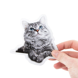 Custom pet cat sticker of a grey and white cat