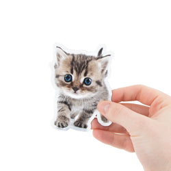 Custom cat and kitten fridge magnet