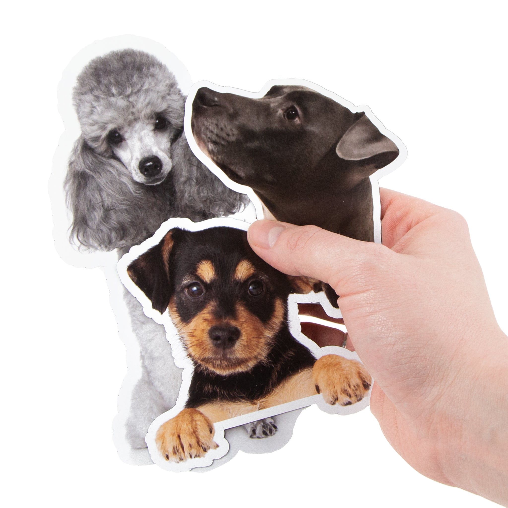 Dog Sticker Bundle Dog Sticker Bundle Stickers With Dogs Stickers